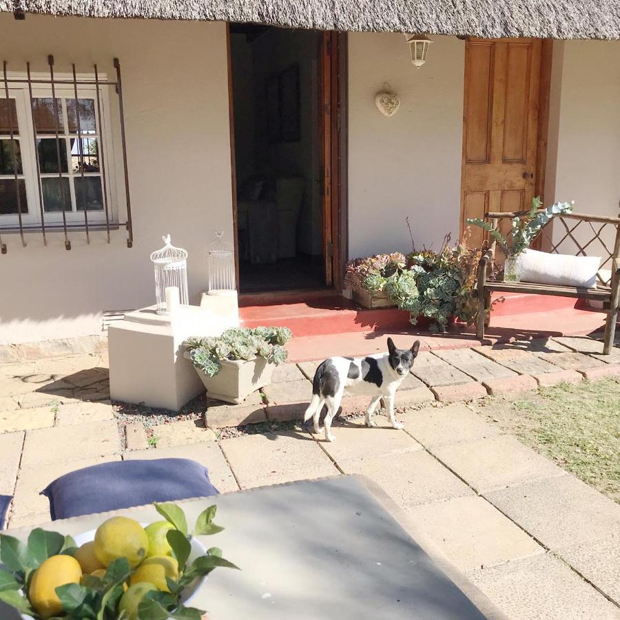 Erin Guesthouse And B&B Bergville Esterno foto